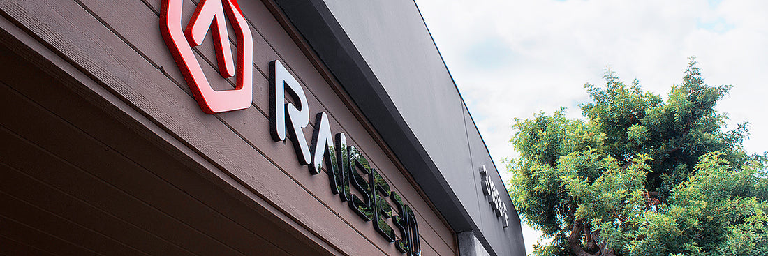 Business Development at Raise3D : Interview with Diogo Quental