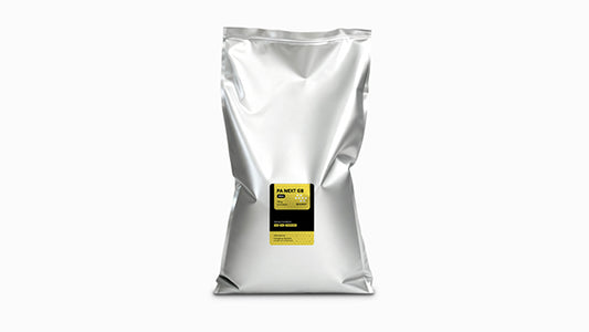 Raise3D PA NEXT GB Black Powder 10kg