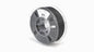 Raise3D Industrial PPA CF Filament