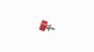Thumb Screw (Pro2/Pro3 Series)